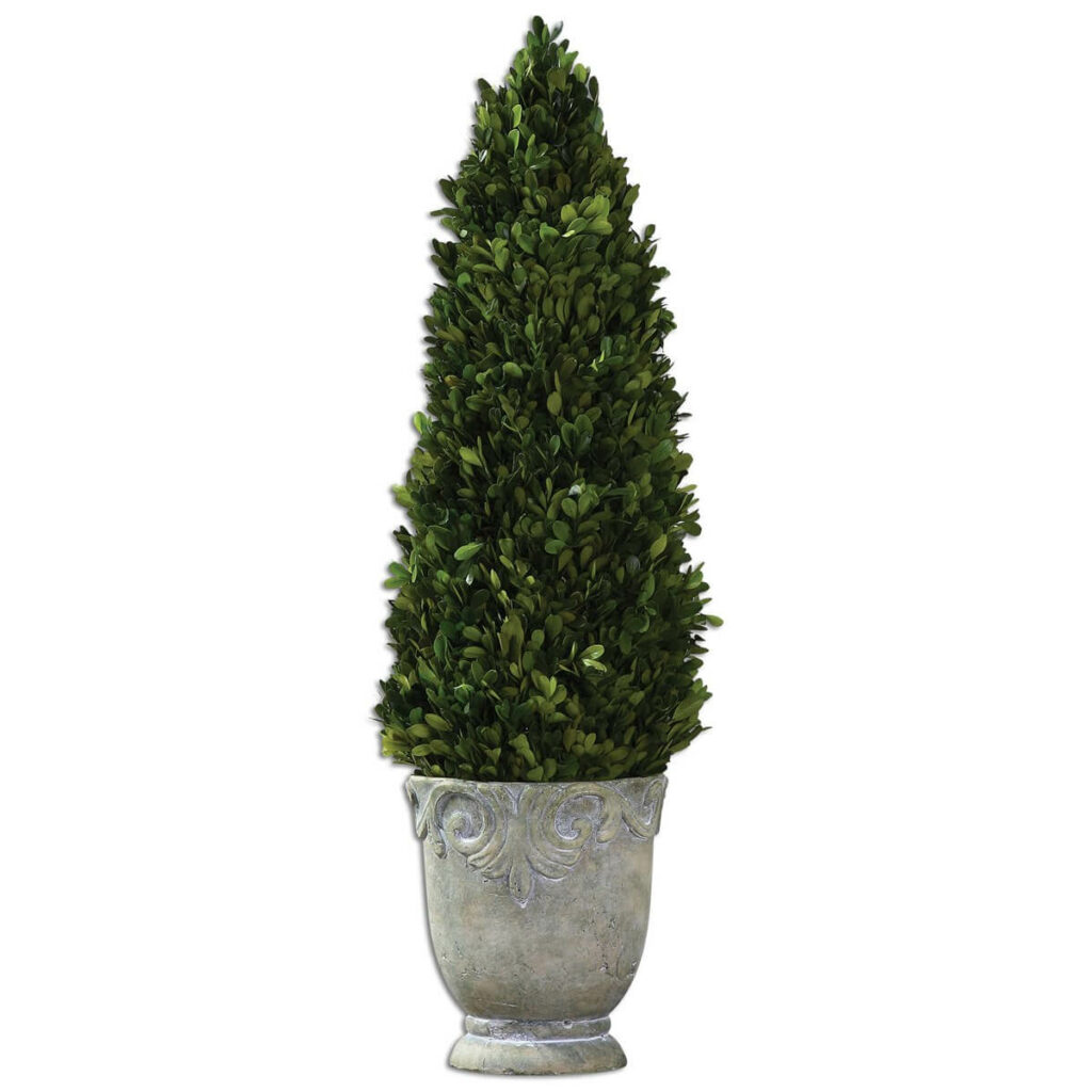 Preserved Boxwood Cone Topiary | Poonam's by Design