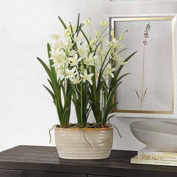 Ariana Orchid