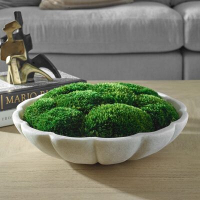 Awaken Moss Centerpiece