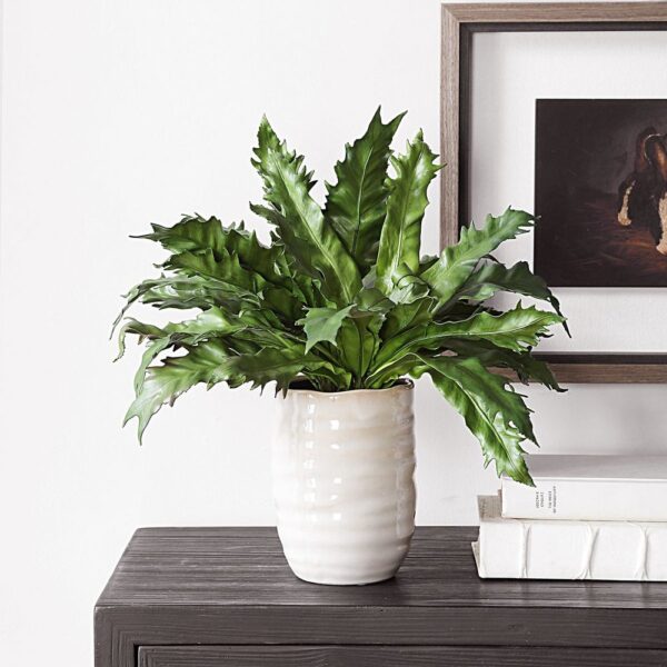Vendure Fern